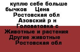 куплю себе больше бычков  › Цена ­ 15 000 - Ростовская обл., Азовский р-н, Головатовка с. Животные и растения » Другие животные   . Ростовская обл.